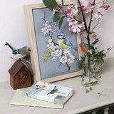 Mesange Bird Kit
