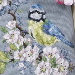 Mesange Bird Kit