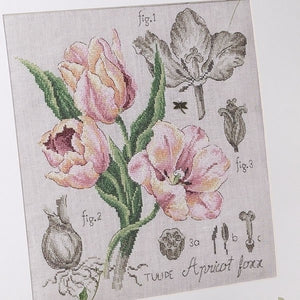 Tulip Kit