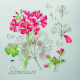 Geranium Kit