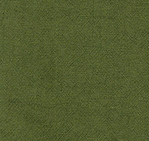 Azumino hand dyed cotton - olive green
