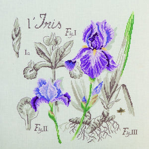 Iris Study Half-Kit